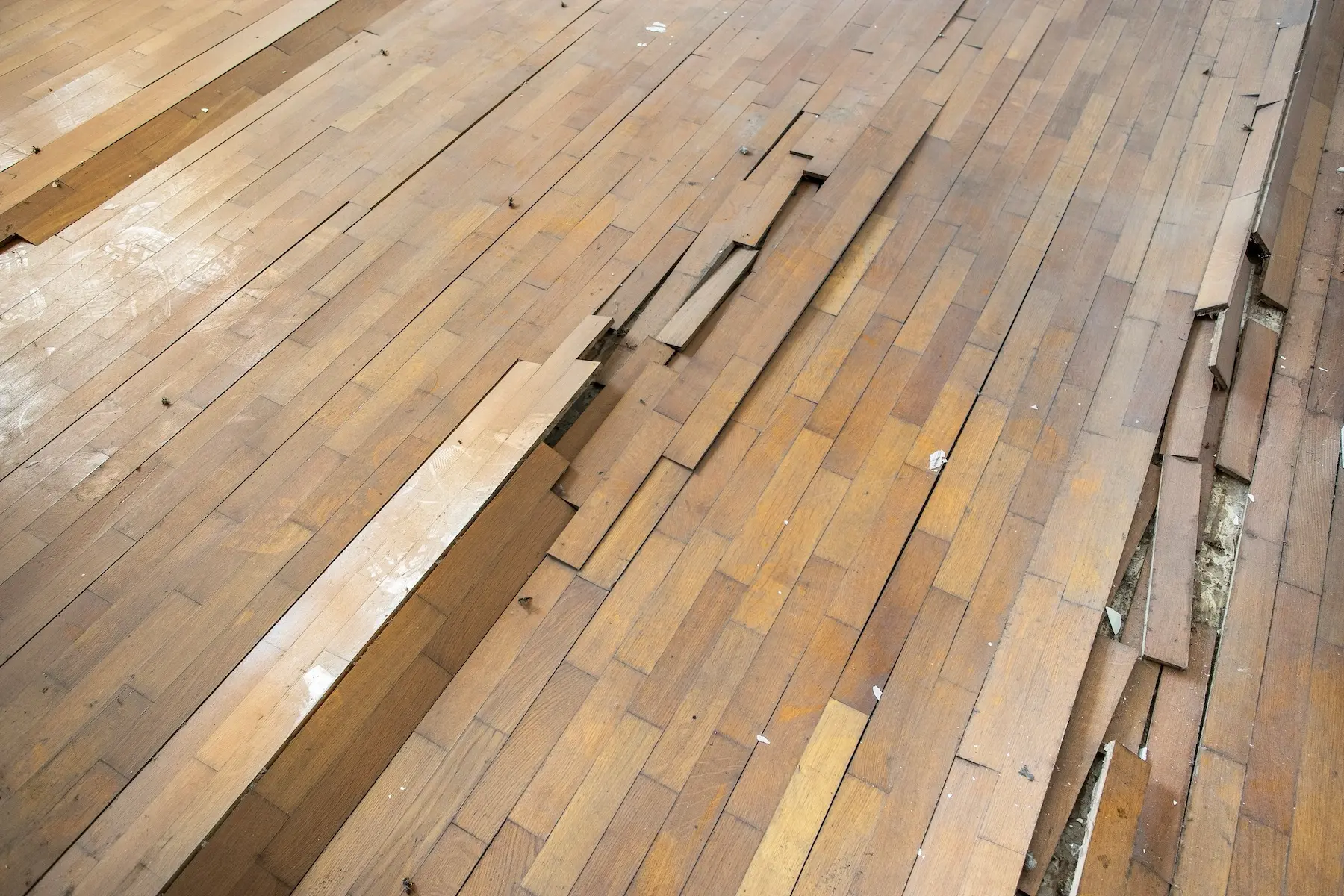 Juntas de dilatacion en tarima de madera
